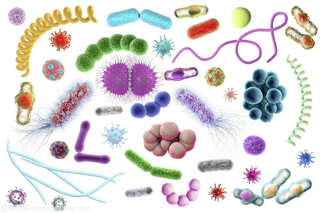生物安全知识系列学习——“病原微生物分类”知多少