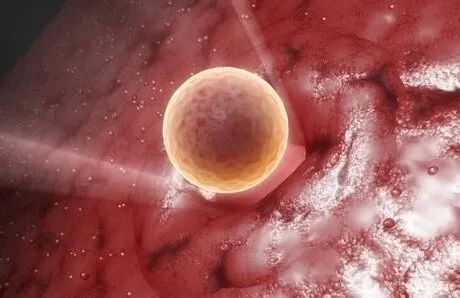 科普｜孕早期或胚胎移植后出血怎么办？